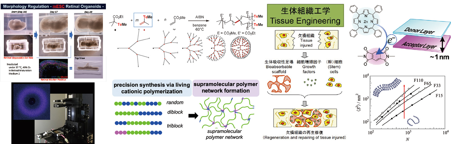 高分子化学専攻 2